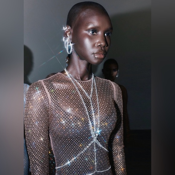 Swarovski x skims maxi dress 🤎 NIB - Picture 9 of 12